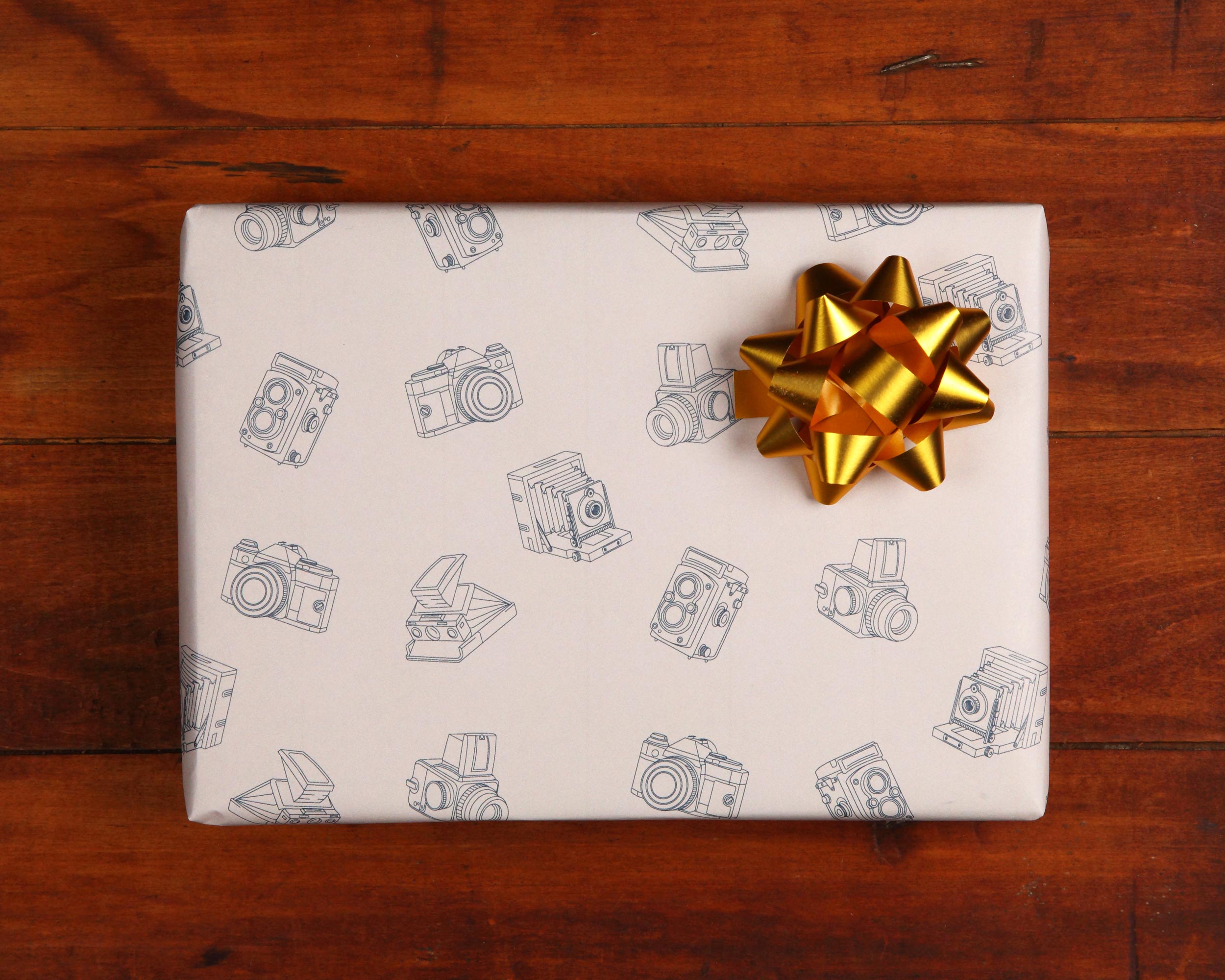 Cameras Gift Wrap (Natural)